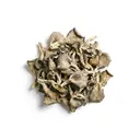 Austernpilz getrocknet