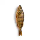 Barsch/Flussbarsch, geräuchert