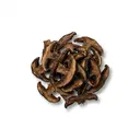 Butterpilz getrocknet