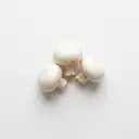 Champignon, roh