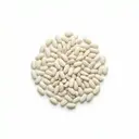 Dörrbohne, eingeweicht, gedämpft (ohne Zugabe von Salz)