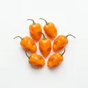 Habanero-Chili