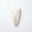 Dorsch/Kabeljau, roh