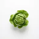 Endivie/Escariol, roh