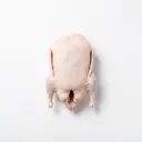 Ente Fleisch, mit Haut, tiefgefroren