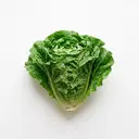 Römersalat
