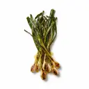 Frühlingszwiebel/Lauchzwiebel, gebacken