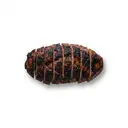 Gans Fleisch, ohne Haut, gegrillt