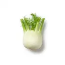 Gemüsefenchel roh