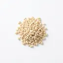 Gerste ganzes Korn, roh