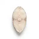 Heilbutt/Weißer Heilbutt, tiefgefroren