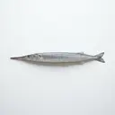 Hornfisch/Hornhecht, roh