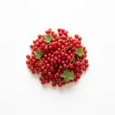 Johannisbeere rot, roh