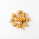 Kapstachelbeere/Physalis, roh