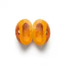 Kürbis Pumpkin (C. pepo) gedünstet