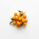 Kumquat roh