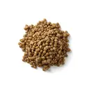 Linse reif, Konserve, abgetropft