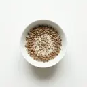 Linsen gekocht, in Grundsauce hell/weiß