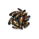 Miesmuschel tiefgefroren, gekocht