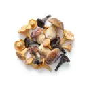 Mischpilze tiefgefroren