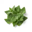 Neuseeländer Spinat roh