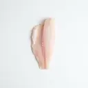 Pangasius/Schlankwels, roh