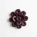 Pflaume gezuckert, Konserve, abgetropft