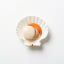 Pilgermuschel/Jakobsmuschel, roh