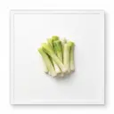 Porree/Lauch, tiefgefroren, gedünstet