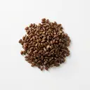 Roggen ganzes Korn, gekocht