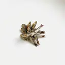 Sardelle gebraten ohne Fett (Ofen)