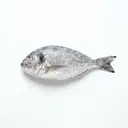 Schafskopf (Meerbrasse) tiefgefroren