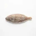 Seezunge tiefgefroren