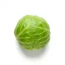 Spitzkohl gedünstet