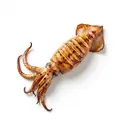 Tintenfisch gegrillt