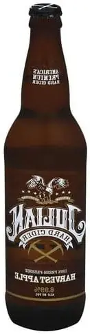 Foto von Klassischer Englischer Mulled Cider – fertig angerichtet