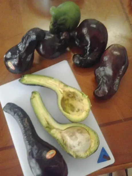 Cook Snap von kochcode-team