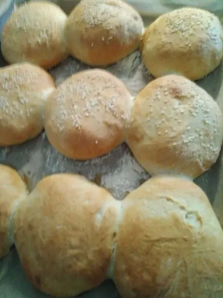 Cook Snap von kochcode-team