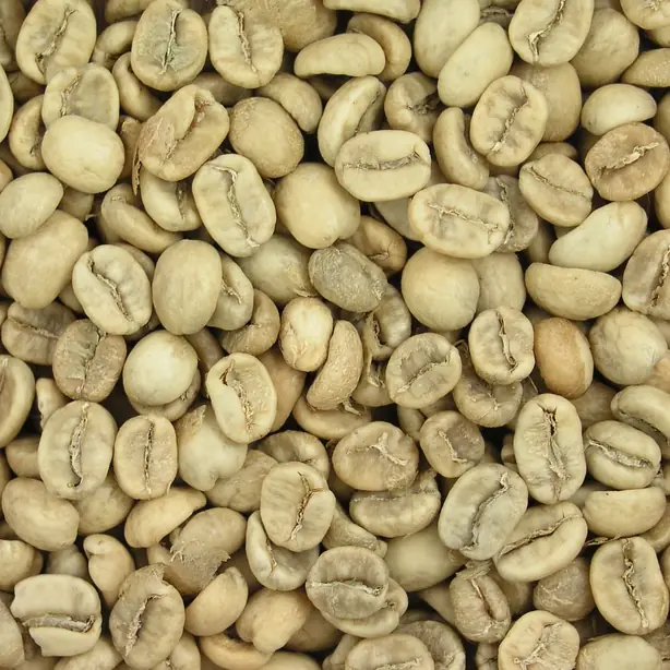 Cook Snap von kochcode-team