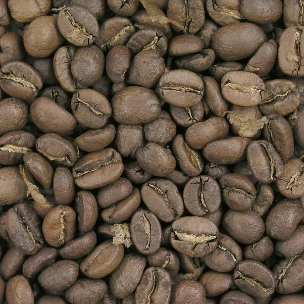 Cook Snap von kochcode-team