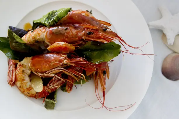 4Gambas – Foto: Marisa Pérez (CC BY-SA 3.0)