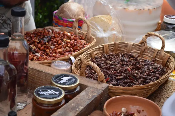 Foto von Oaxacan Chapulines klassisch – fertig angerichtet