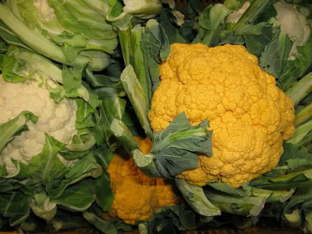 Foto von Klassischer Blumenkohl mit Butterbröseln – fertig angerichtet