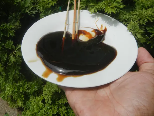 Cook Snap von kochcode-team