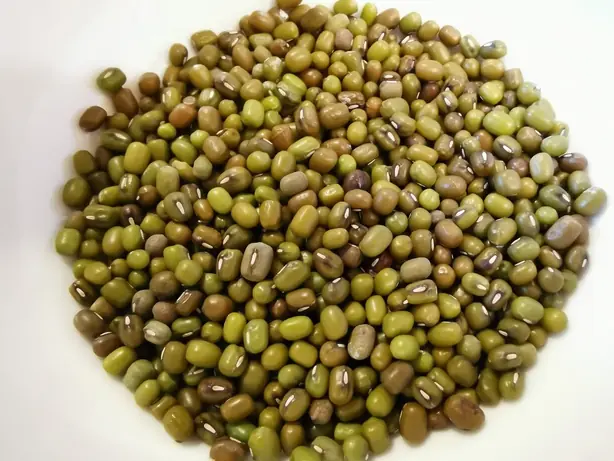 Cook Snap von kochcode-team