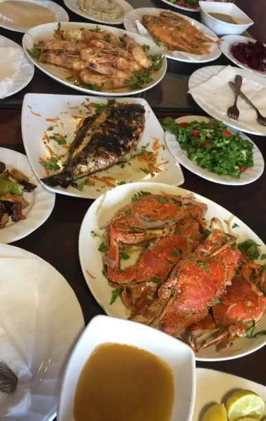 Cook Snap von kochcode-team