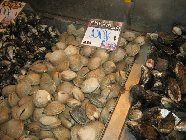 Foto von Spanische Almejas a la marinera – fertig angerichtet