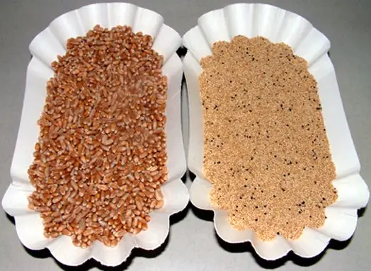 Cook Snap von kochcode-team