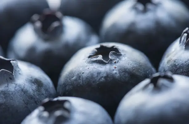 Foto von Süße Heidelbeersauce mit Zitrusnote – fertig angerichtet