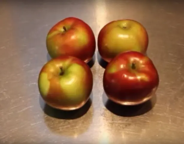 Cook Snap von kochcode-team